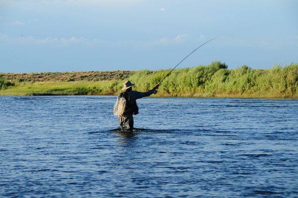 An angler casting a fly rod while wading in a river